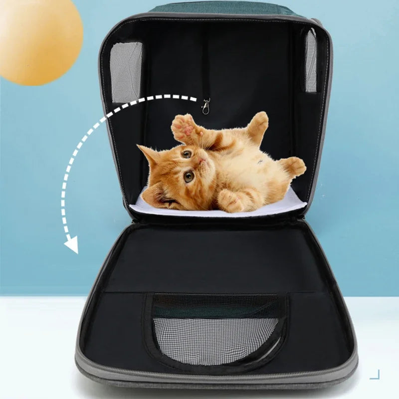 Stylish Pet Carrier Backpack