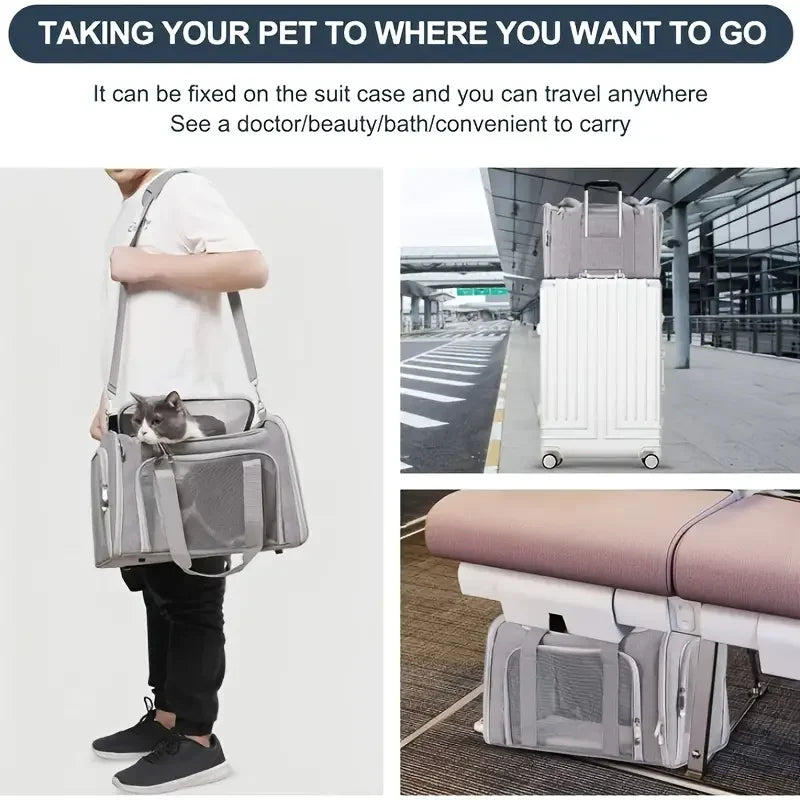 Airline-Approved Soft-Sided Pet Carrier Bag