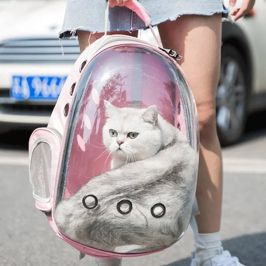 Space Capsule Pet Backpack